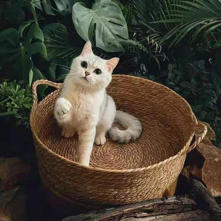 SoPets Handwoven Cat Cave Bed Cooling Rattan Pet House with Scratching Board Washable Cozy Sleeping Nest for All Seasons Cats Dogs