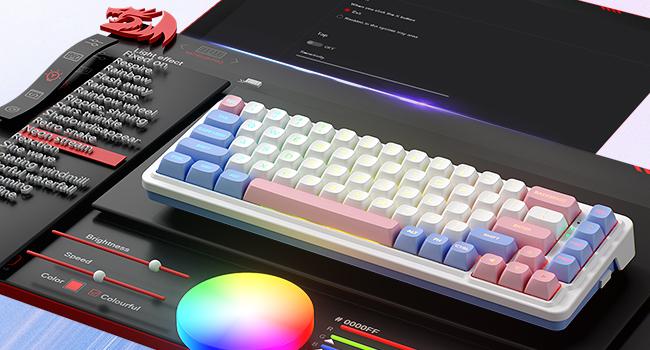 Redragon K709 PRO 65% Wireless Gasket RGB Gaming Keyboard, 68 Keys Hot-Swap Compact Mechanical Keyboard w/Free-Mod Socket, 5-Layer Noise Dampening & Round PBT Keycaps, Quiet Custom Linear Switch