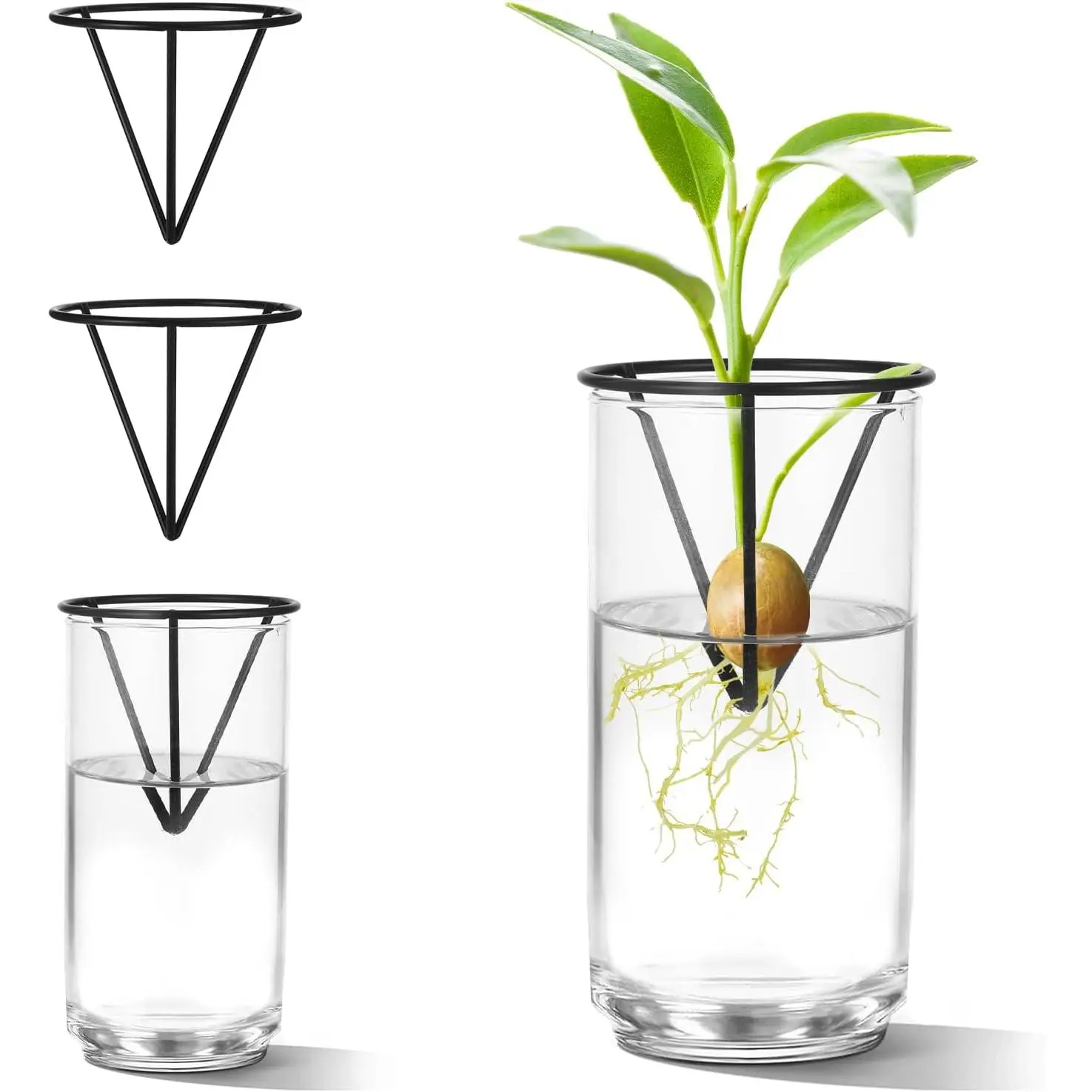 4Pcs Avocado Seed Starter vase Holders That can be Used as Propagation Kits for Plant Propagation vases, not for Avocados but Also for Other Similar Plants (Carrots, Sweet Potatoes, etc)