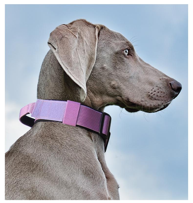 Premium Heavy-Duty Nylon Dog Collar - Extra Wide, Padded, with Stainless Steel Buckle Adjustable Pet Collar, Durable Dog Collar for Medium Large Dogs Cats for Outings, Dog Supplies, Pets Supplies, Christmas Gift