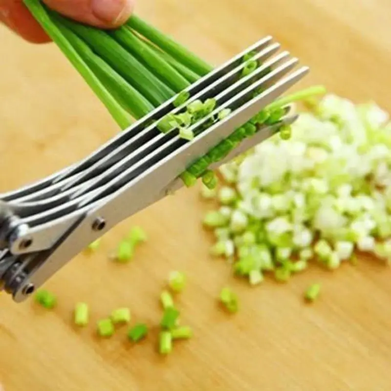 Stainless Steel 5 Blades Scallion Cutter Scissors, Multi-Layer Sharp Kitchen Herb Shears for Chopping Chives Cilantro Seaweed Chili, Safe PP Handle Easy Clean Multipurpose Kitchenware Food Cutting Scissors for Home Cooking