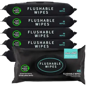 Flushable Wet Wipes - 3 Packs/6 Packs, 144 Sheets/288 Sheets, Unscented Large Wet Wipes, Mint, Safe for Septic Tanks, Antibacterial