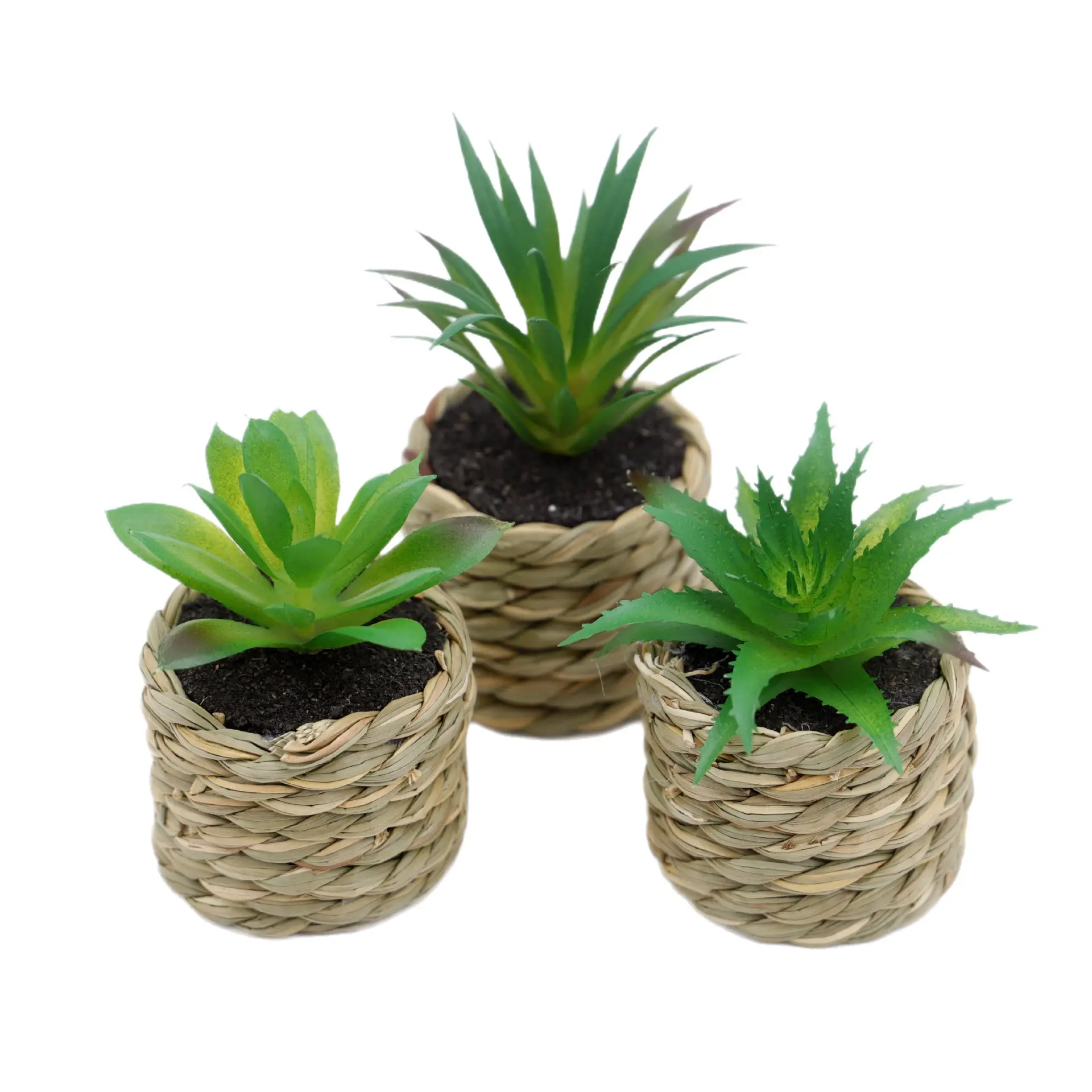 Handmade Woven Basket Artificial Aloe Succulent Plant, Mini Potted Fake Greenery for Farmhouse Style Home Decor, Indoor Ornamental Plants
