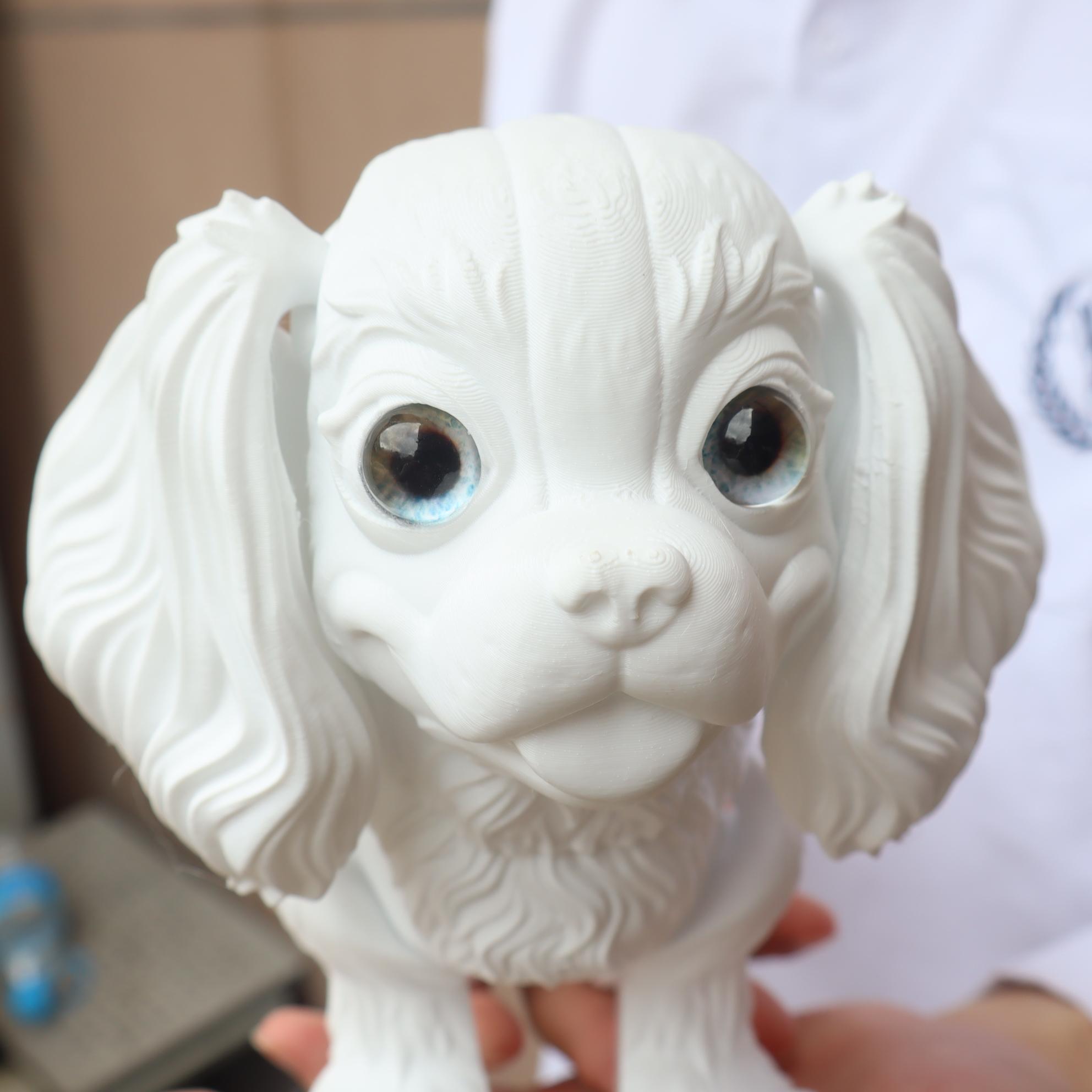 3D Printed Poodle Dog Figurine, Large & Small Sizes Available Decorative Fidget Figurine, Durable Plastic Material, Perfect Gift for Any Occasion, Articulated Fidget Figurines, Doll Figurines, Collectible Figurines