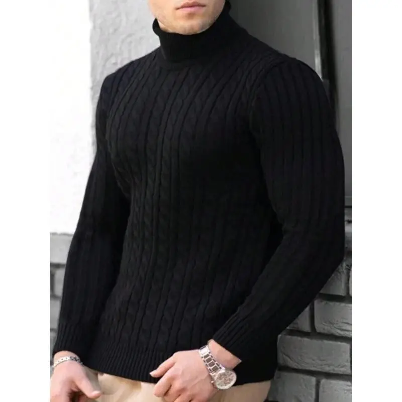 Men's Solid Color Textured Turtleneck Sweater, Regular Fit Casual Long Sleeve Pullover for Fall & Winter, Daily Knitwear