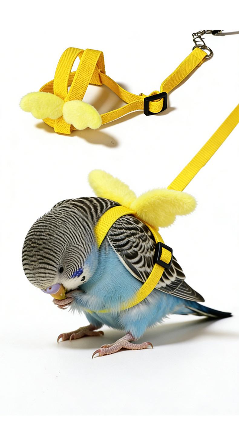 Parrot Flight Training Leash, Back Strap Wing Harness with Elastic Bungee Rope, Outdoor Walking Lead for Small Parrots, Escape-Proof Bird Leash for Budgie Cockatiel Lovebird Squirrel-proof Metal Feeding Station Cage Stand Parrot Flight Training Leash, Back Strap Wing Harness with Elastic Bungee Rope, Outdoor Walking Lead for Small Parrots, Escape-Proof Bird Leash for Budgie Cockatiel Lovebird Squirrel-proof Metal Feeding Station Cage Stand