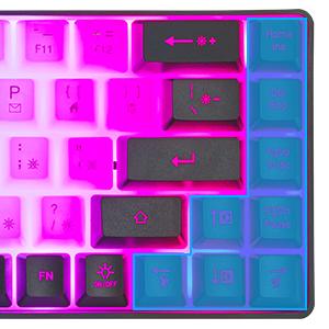 Mini RGB 60% Gaming Keyboard, 68 Keys Small Compact USB Wired Rainbow Light Up Backlit Gaming Keyboard for Xbox PS4 PS5 PC Laptop Gamer(White-Black)