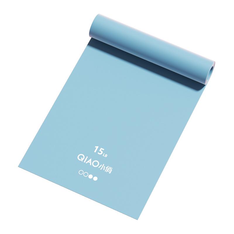 Resistance Bands for Working Out, Elastic Exercice Loop Bands for Physical Therapy, Yoga Starter Set of Stretch Bands for Booty Legs, Pilates Flexbands