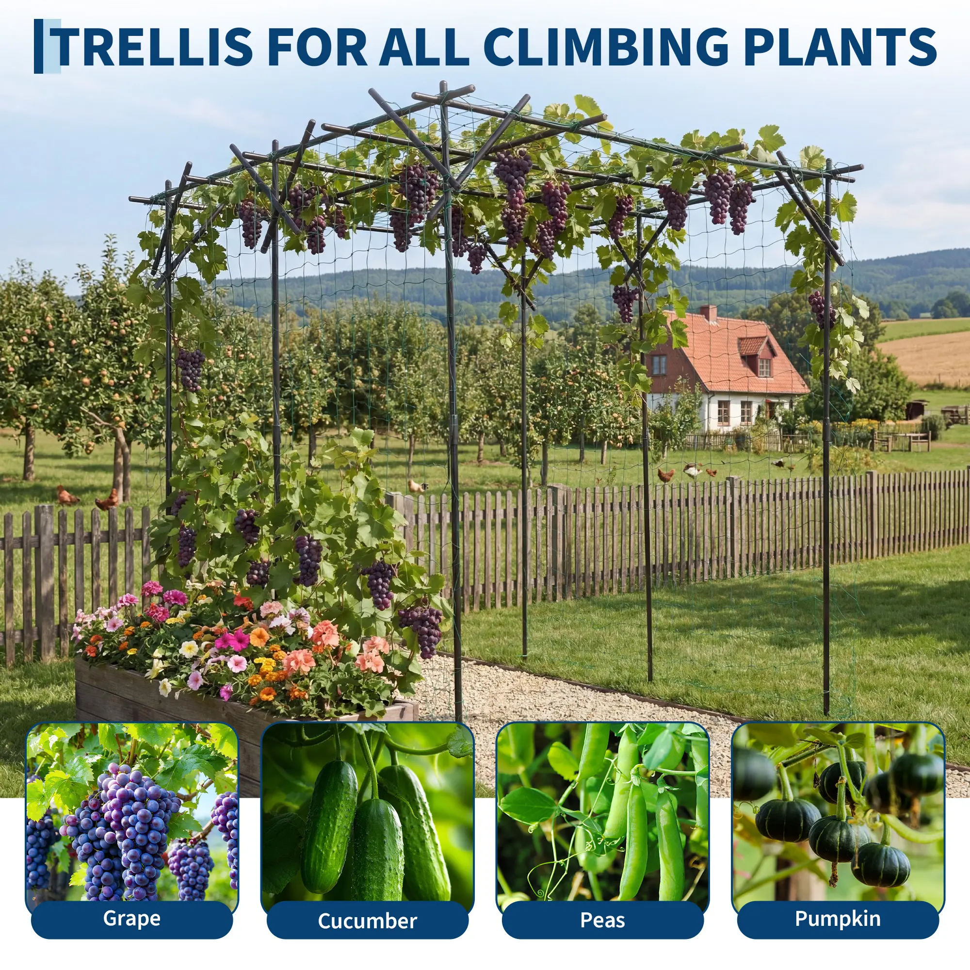 Grape and Cucumber Trellis,Outdoor Garden Arch Trellis for Climbing Plants,Large Grape Vine Trellis Pergola,Tunnel Trellis for Cucumber, Pumpkin,Squash, Melon