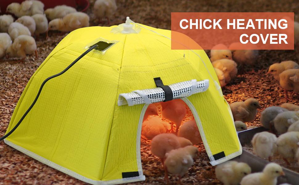 Large Chick Brooder Heating Plate Chick Brooder Box 21.6" Heat Up To 50 Chicks, Chick Warmer Chicken Coop Heater Poultry Brooder For Chick Duckling Quail Goose Bird Hatchling