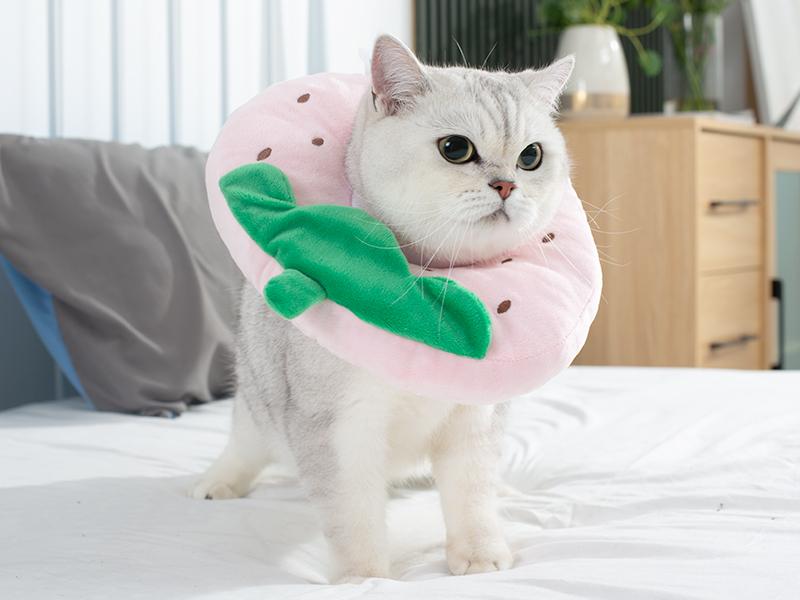 ANWA Adjustable Cat Cone Collar Soft, Cute Cat Recovery Collar, Cat Cones After Surgery for Kittens ANWA Adjustable Cat Cone Collar Soft, Cute Cat Recovery Collar, Cat Cones After Surgery for Kittens