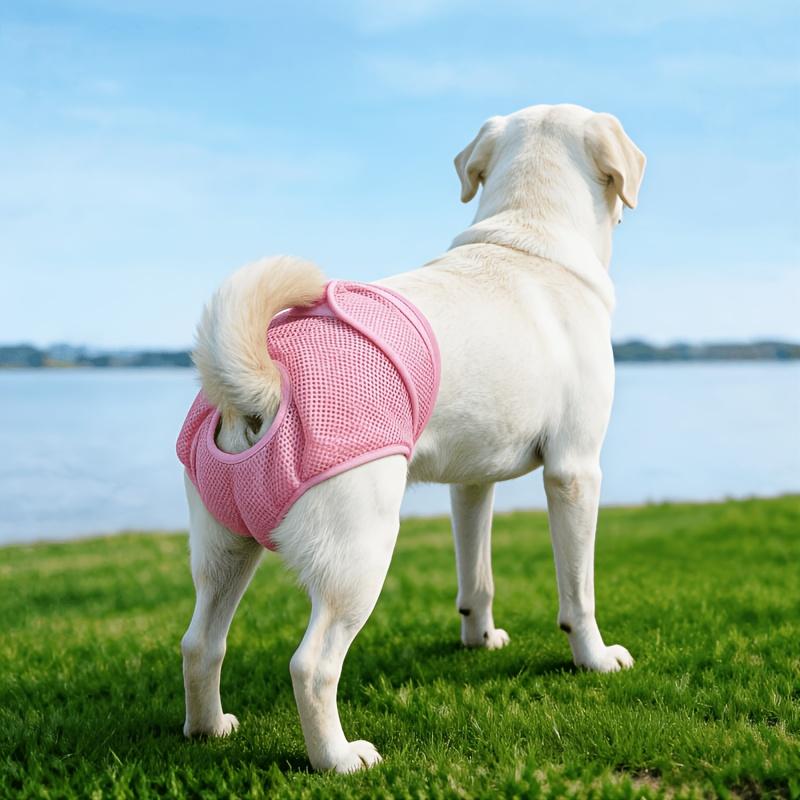 New Pet Female Dog Period Pants in 5 Colors, Comfortable, Leak-proof, and Breathable. Anti-harassment Modesty Pants, Reusable Dog Menstrual Pants, Dog Diapers. Suitable for Small, Medium, and Large Dogs. for All Seasons
