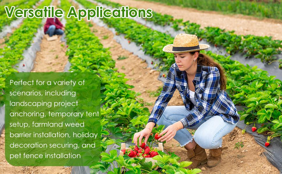 240 Pcs Landscape 6 Inch, 8 Gauge Circle Top Landscape Pins, Galvanized Weed Barrier Stakes for Plant - Not Easy Bend, More Holding Than U-Stakes