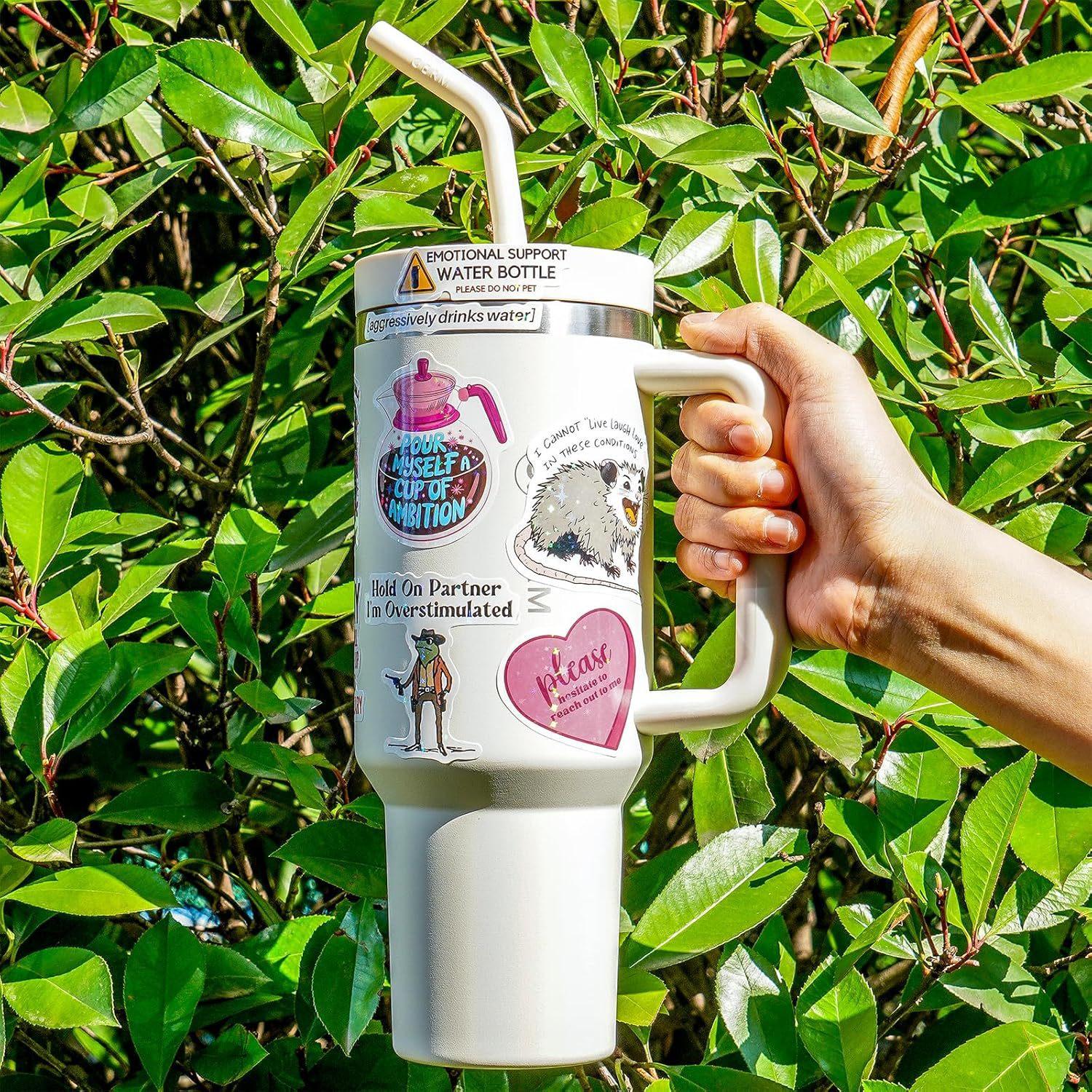 200 PCS Sarcastic Humorous Stickers Pack, Aesthetic Funny Face Decals for Planner Scrapbooking Luggage Skateboard, Gag Gifts for Coworkers Friends Matching my vibe today with these hilarious sarcastic stickers!💅 Which face are you?