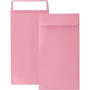 100 Pack  Envelopes 3.5 x 6.5 inch, Self Seal Envelopes For Savings plan, Envelopes for ,,Check and Small items redit Card,Seed