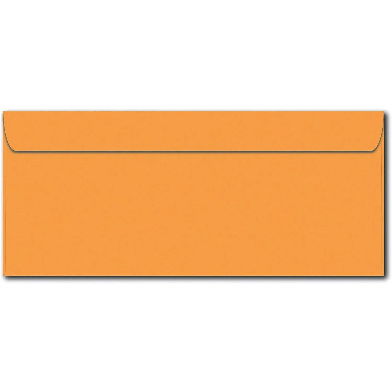 #14 Business Envelopes 5" x 11.5" 24lb Bond (90gsm) - 100 Pack | Printable Extra Long Mailing Envelopes For Oversized Documents, Statements, Correspondence, And Office Use