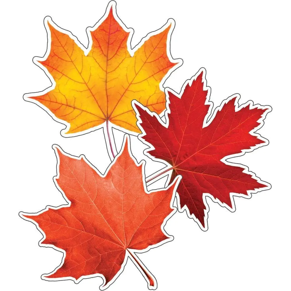36-Piece Fall Leaves Cutouts, Colorful Leaf Cutouts for Bulletin Board and Classroom Décor, Fall Classroom Cut-outs, Fall Cutouts for Classroom and Fall Classroom Décor