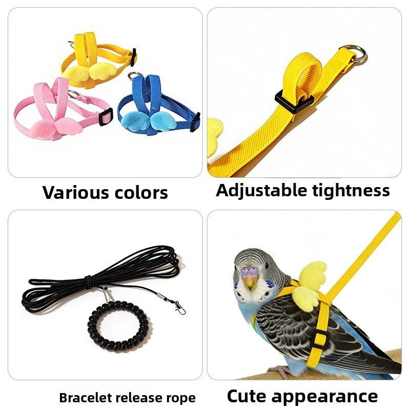 Parrot Flight Training Leash, Back Strap Wing Harness with Elastic Bungee Rope, Outdoor Walking Lead for Small Parrots, Escape-Proof Bird Leash for Budgie Cockatiel Lovebird Squirrel-proof Metal Feeding Station Cage Stand