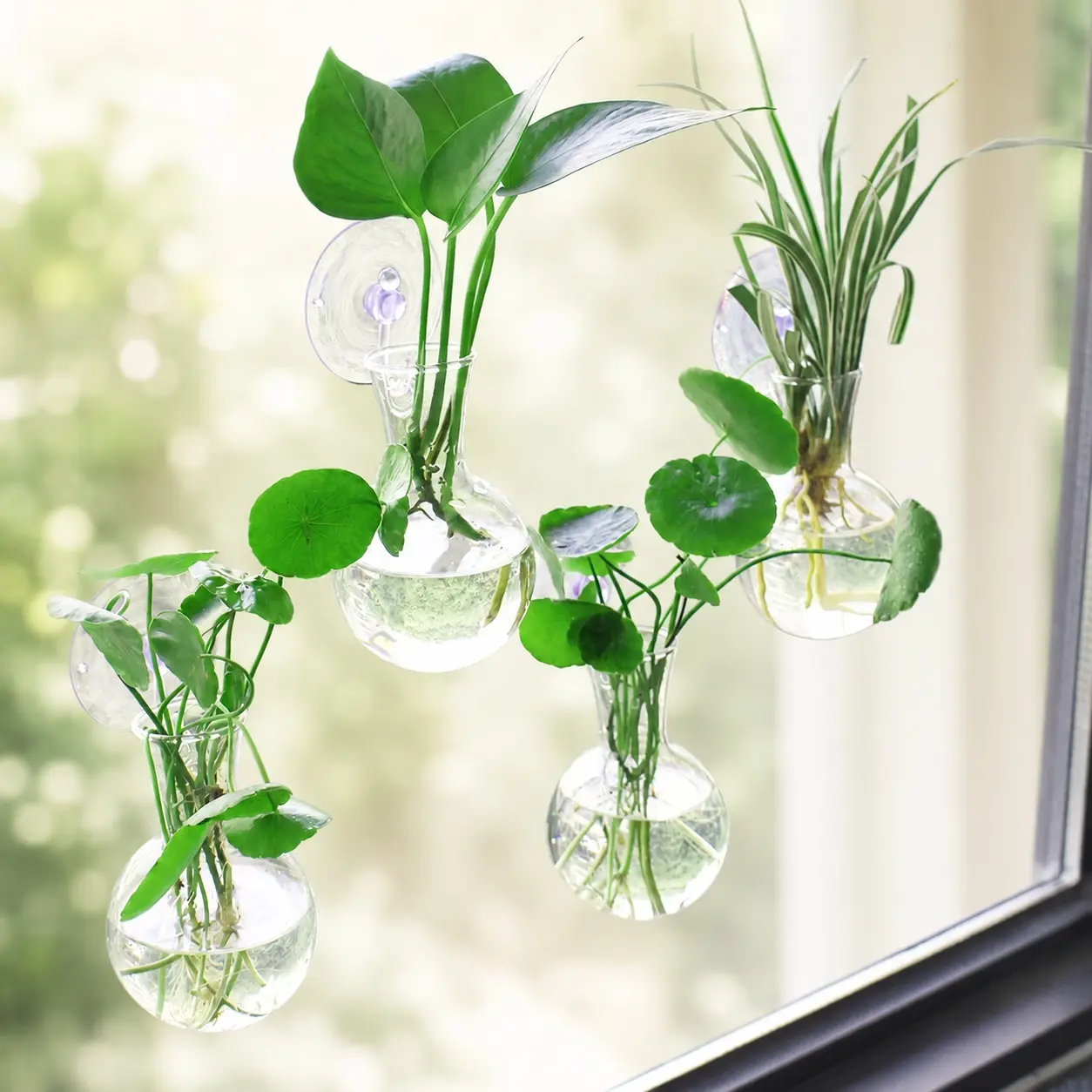 4 Counts Suction Cup Hooks+4counts Plastic Vase Window Plant Breeding Station, Bulb Vase with Suction Cup, Office Home Decoration