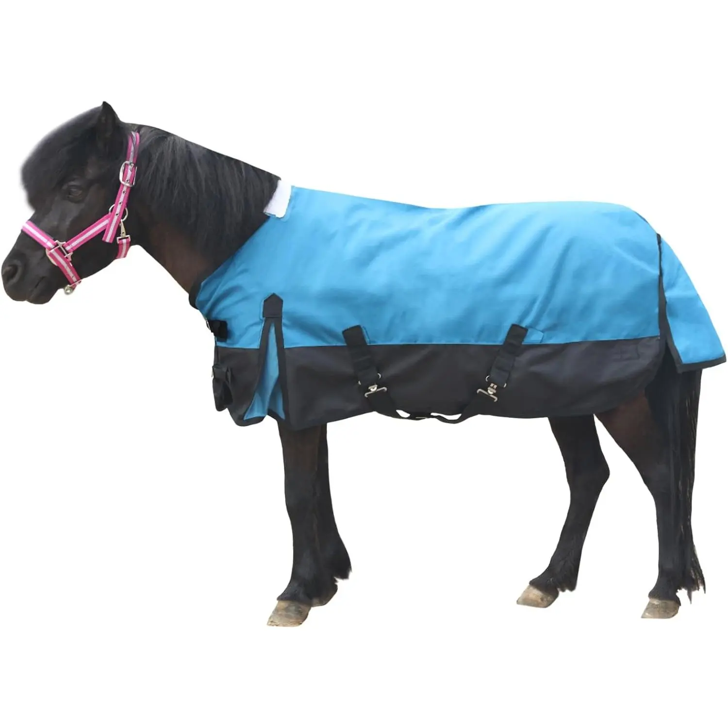 Mini Horse/Pony/Foal/Miniature Size 36"-51" Lightweight Waterproof & Breathable 1200 Denier Turnout Blanket with No Filling Peacockblue 45"