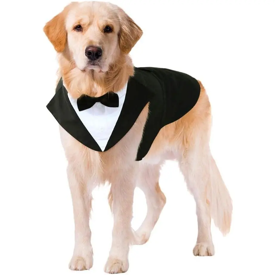 Dog Tuxedo 2-Piece Set - Bandana & Bow Tie Shirt, Hook-and-Loop Formal Attire with Decorative Buttons, Comfortable Easy-On-and-Off Wear for Weddings, Valentine's Day, New Year's Eve (Sizes: 2XL, S, M, L; Fits Golden Retriever, Bulldog)
