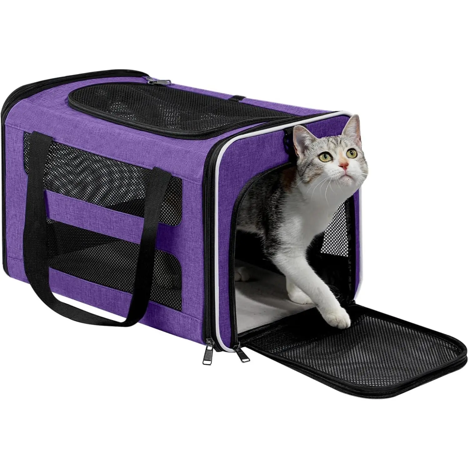 Cat Carrier Soft-Sided Travel Bag for Medium to Large Cats Over 15lbs, Small Dog Carrier Crate Top Entry Breathable Mesh Puppy 12 Pounds, Pet Rabbit Carrying Cage Kennel Collapsible Purple
