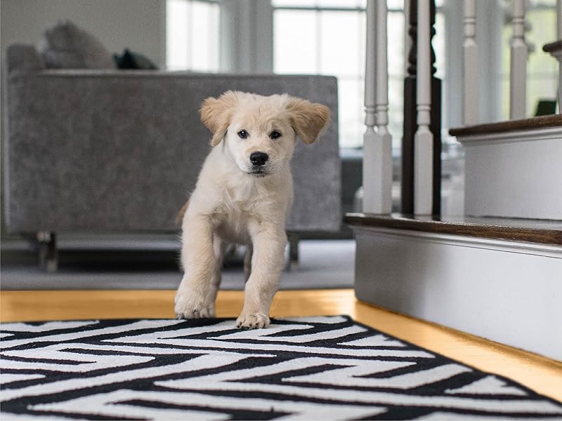 Over the Door Shoe Organizer, 24 Large Breathable Mesh Pockets, Space Saving Hanging Storage Holder, Closet Rack Hanger Holds Up to 40 lbs, Hangs on Closets for Shoes, Accessories, Pink