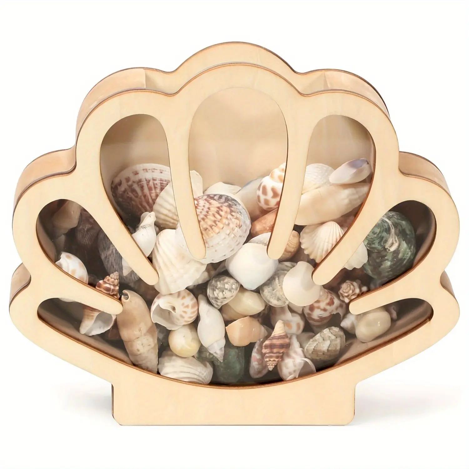 Wooden Shell Display Box, Beach Theme Souvenir, Collectible and Memories Shadow Play Box, Ideal Graduation Gift for Dorms and Coastal Home Decor, Aesthetic Room Decoration, Decoration Items