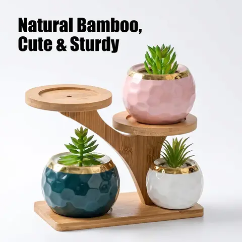 Plant Stand, Multifunctional Plant Pot Holder, Succulent Planter, Plant Stand for Succulents, Garden Supplies for Home, Office, Balcony Decor, Plant Stand Indoor, Potted Plant Stand