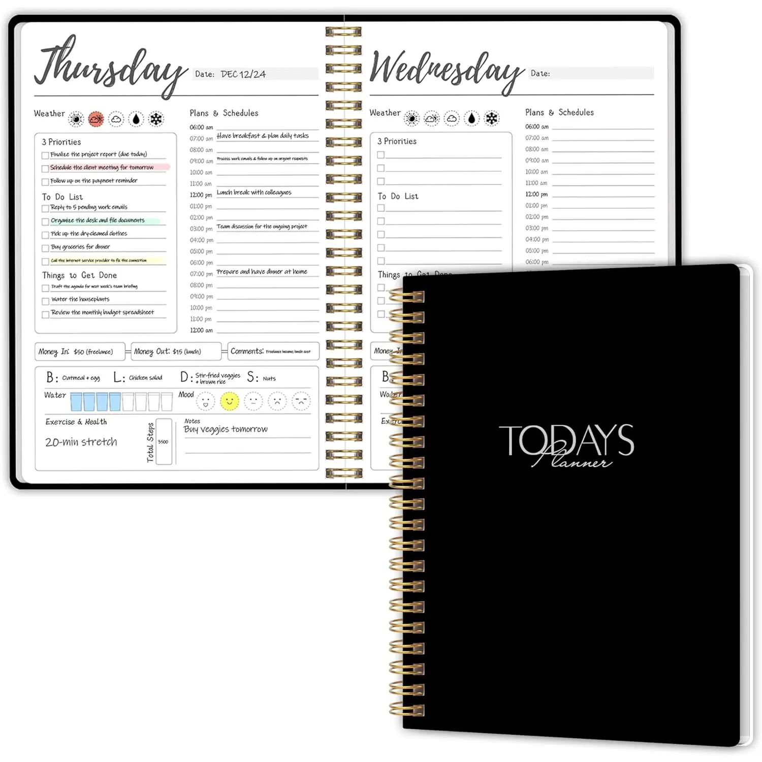Weekly Work Planner with Hourly Schedules, , Tasks, Expense  7 Days Daily Planner Self-Care for Organizing Meals, Water Take-in, Mood, Exercise & , 10 x 7.3 inches