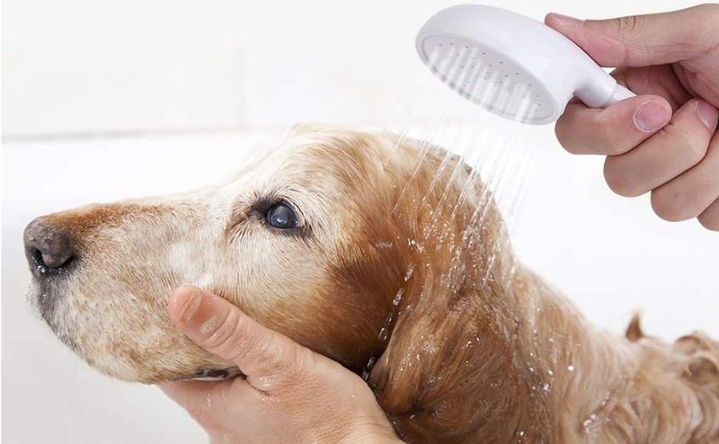 Sink Spray Hose,Portable Sink Hose Faucet Sprayer, Shampoo Sprayer Handheld Faucet Shower Head Spray for Bathing Baby,Pets,Washing Hair,Rinsing Vegetables