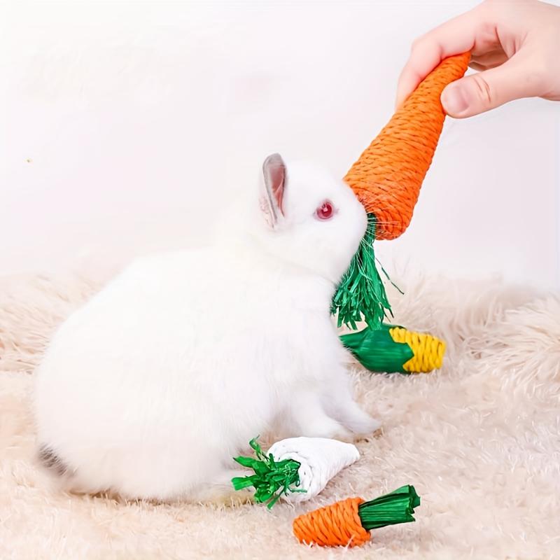 3pcs Creative Chew Toys for Small Pets Hamster Rabbit, Chinchilla Dental Cleaning Toys
