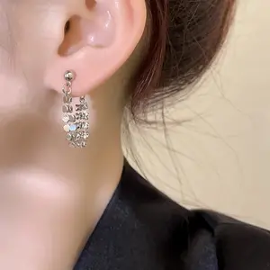 Tassel earrings for women, unique design, stylish ear clips, 2026 new popular model, light luxury, high-end earrings E50274-EH