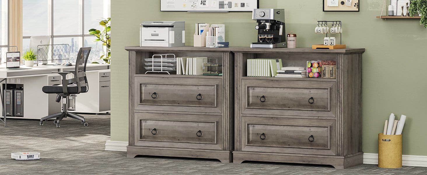 File Cabinet with Printer Stand and 2 Drawers Grey