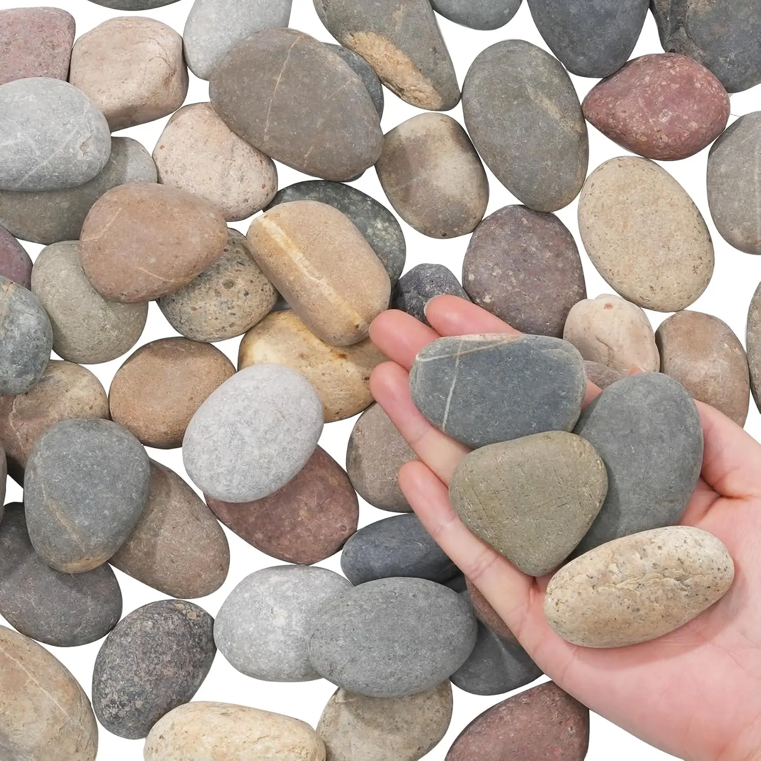 River Rocks-5 lbs of  and River Stones,2-3 Inch  Rocks for Landscaping,Garden Paving,Crafting,Walkways,and Outdoor Decorative Stone,Mexican Beach River Rocks