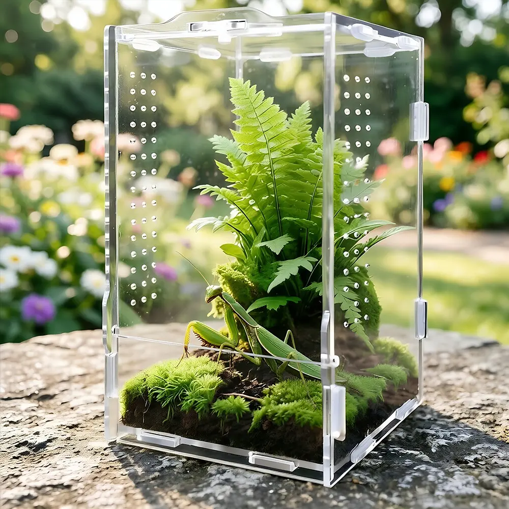 Mini Acrylic Terrarium Enclosure, 360° Panoramic High Transparency, Rotating Lid Lock, Breathable Micro Holes, Ideal for Spiders, Mantises, Beetles
