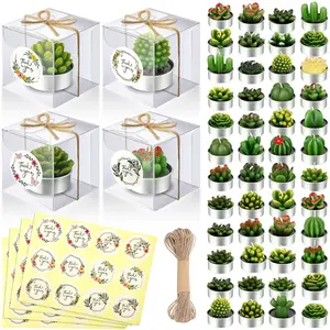 48 Sets Cactus Tealight Candle  Delicate Succulent Cactus Candle Mini  Party Favor for Valentine's Day Holiday Bridal Shower Fiesta Birthday Anniversary Celebration Wedding