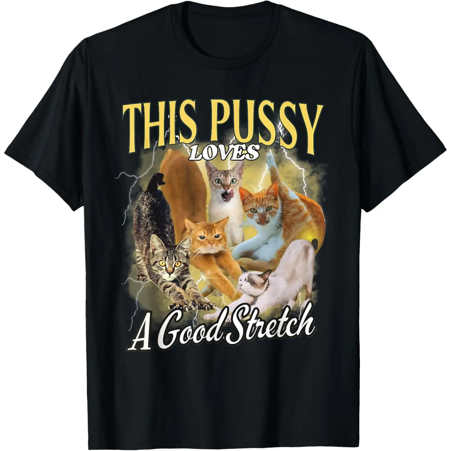 Men's Classic Relaxed Fit T-Shirt, Funny Adult Humor Graphic Print, Tops