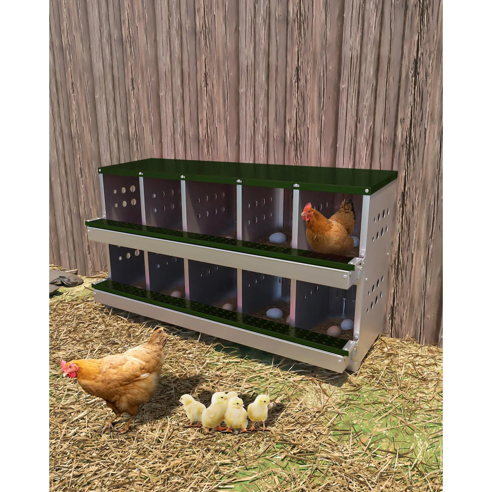 10-Hole 2-Tier Galvanized Chicken Nesting Box, Dark Green, Roll-Away Egg Tray, 10 Fake Eggs Included