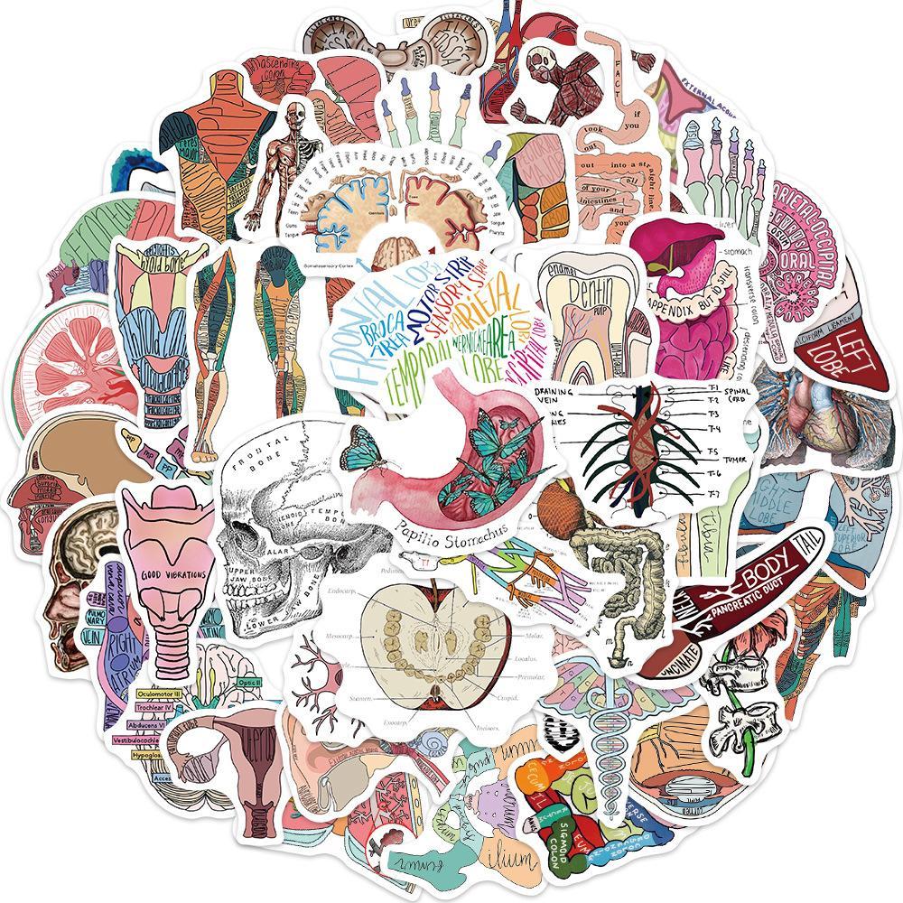 Organ Body Parts Series Graffiti Sticker, 50pcs/set Waterproof Self Adhesive Decor Paper, Decor Sticker for Gift Greeting Card Water Bottle Laptop Phone