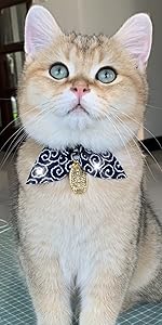 PetSoKoo Cute Bowtie Cat Collar with Bell. Japanese Stylish Bowknot & Fish Charm. Safety Breakaway, Soft, Lightweight, for Girl Boy Male Female Cats Kitten,Green