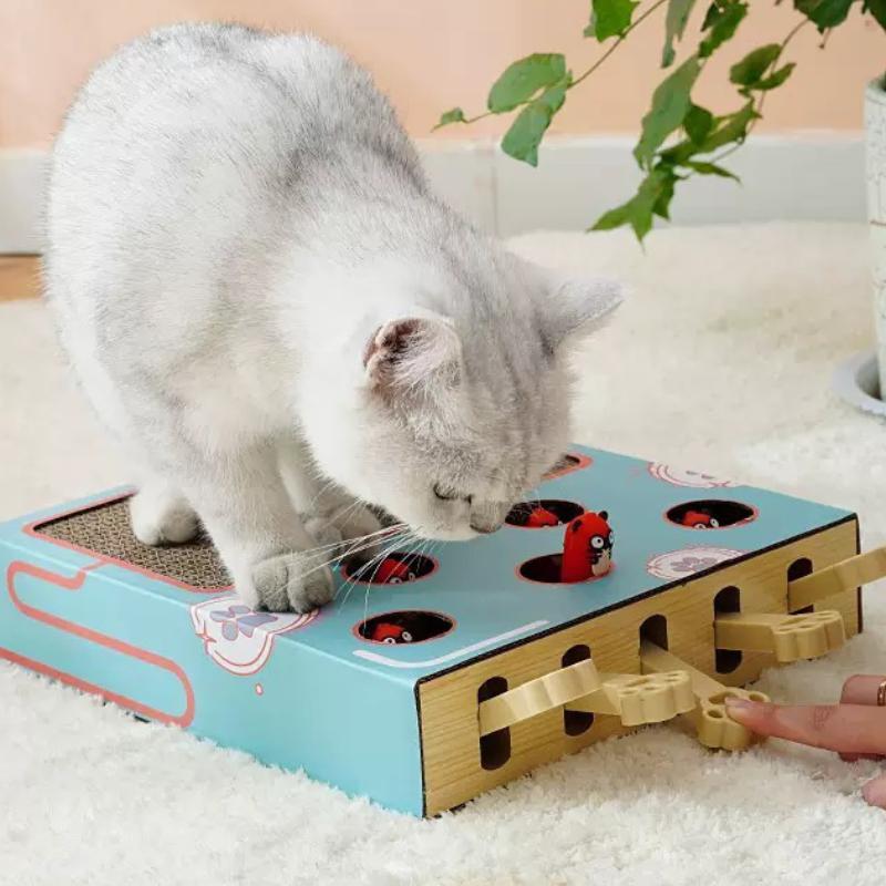 Cat Scratch Board Game, Interactive Corrugated Cardboard Toy, Multi-functional Cat Play & Exercise Accessories, Pet Supplies