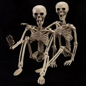 2-Pack 40" Halloween Skeletons, Life-Size Full Body Realistic Posable Skeleton with Movable Joints, Spooky Haunted House Decor for Outdoor Yard, Patio & Front Porchfidget toys
