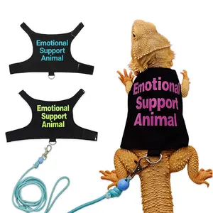 Lizard Harness Leash, Adjustable Harness, Reptile Outdoor Chest Strap, Chameleon Squirrel Colorful Lead Rope, Small Pet Supplies, Comfortable & Durable Design