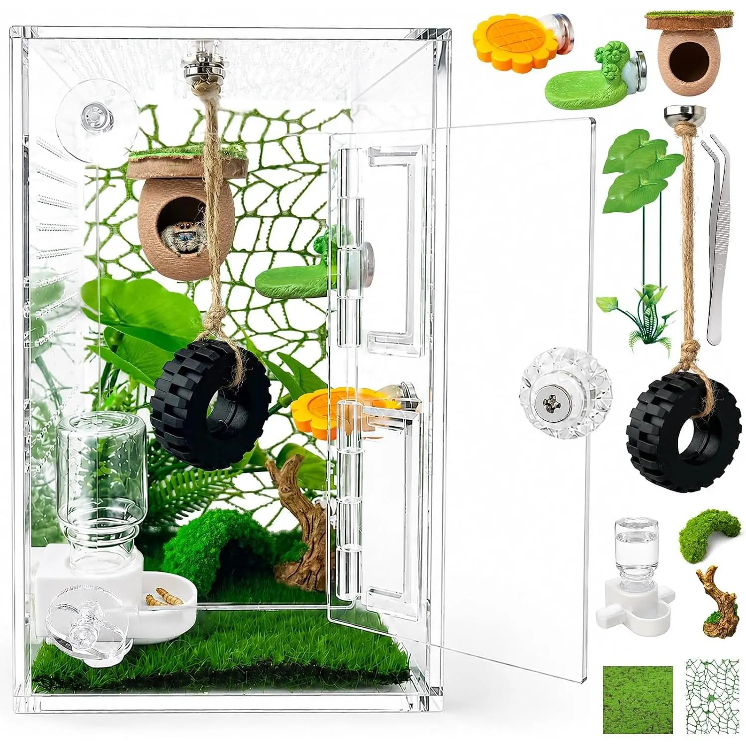 Jumping Spider Enclosure Accessories Kit,Transparent Spider Terrarium,DIY Insects Habitat,Escape Proof Small Reptile Terrarium,Bug Enclosure with Decor Accessories (GreenB)