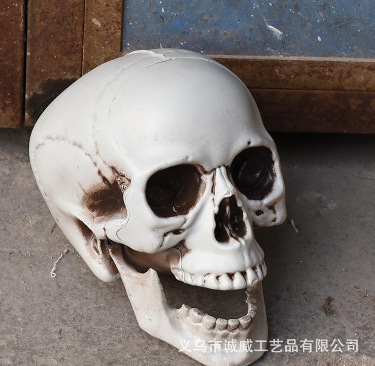 Plastic Simulated Skull Halloween Skull Scary Head with Blood