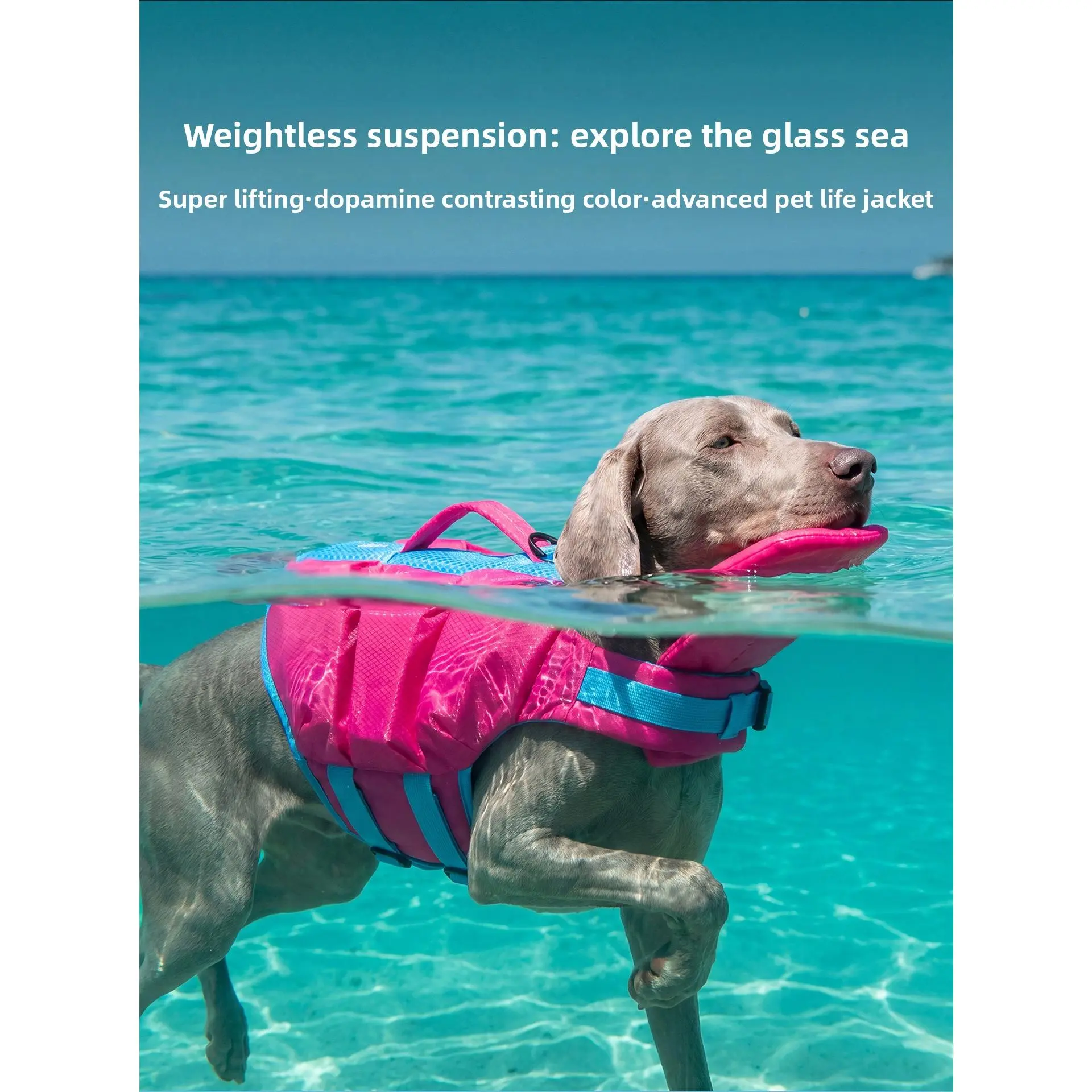 Dog High Visibility Float Vest - Contrast Colors, Ripstop Quick-Dry Fabric, Head Support, Water Safety Lifesaver for Pool, Lake Activities