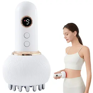 Electric Meridian Brush, Gua Sha Instrument, Shoulder Neck Relief, Full Body Massage, USB Charging, Perfect Gift for Holidays