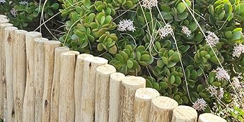 Backyard X-Scapes Natural Eucalyptus Wood Log for Edging Lawn Landscape Fence Borders 72 in L x 6 in H x 1.25 in D