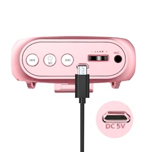 Portable Voice Amplifier for Teachers, 2200mAh Rechargeable Personal Amplifier Mic PA System Headset Microphone with Speaker for Teachers, Training, Meeting, Tour Guide, Yoga, Classroom (Rose)